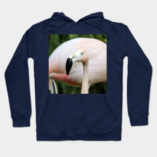 Flamingo Hoodie